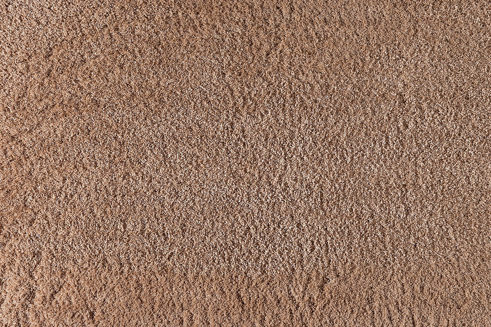Premium Silky Lush Carpet