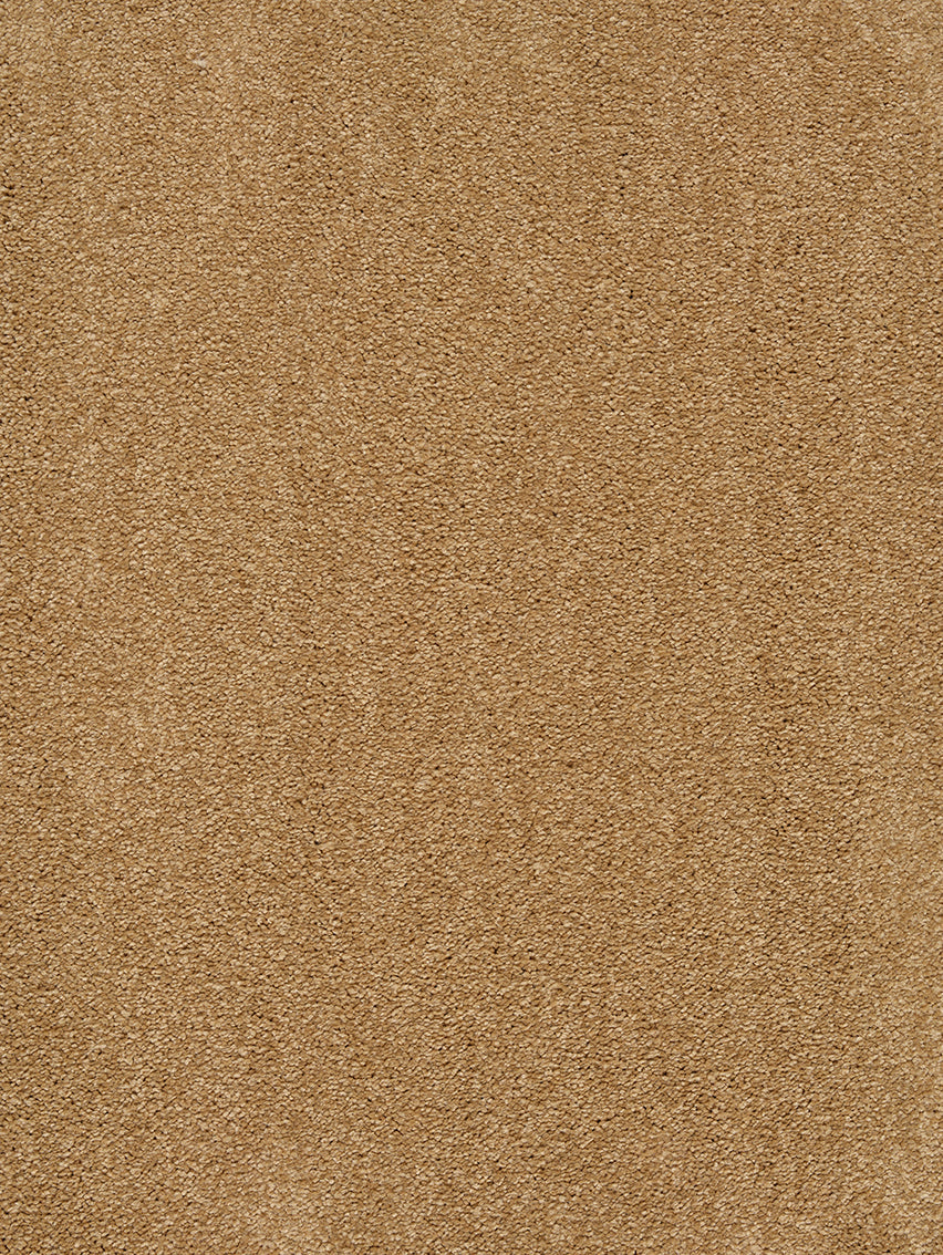 Traviata carpet