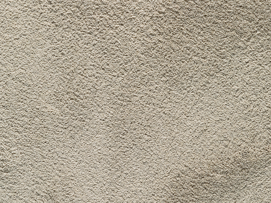 Wealthy Gathering Premium Carpet