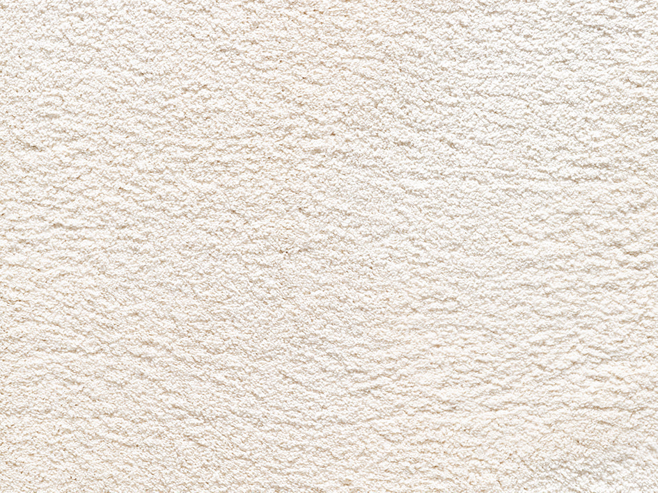 Wealthy Gathering Premium Carpet