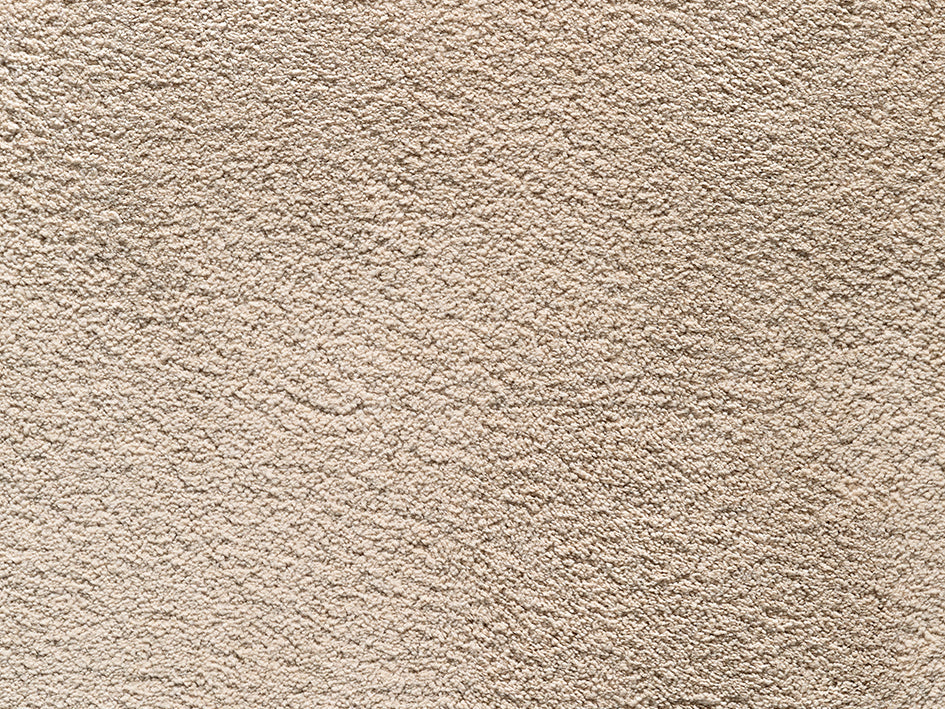 Wealthy Gathering Premium Carpet