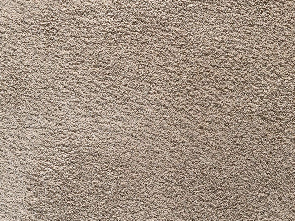 Wealthy Gathering Premium Carpet