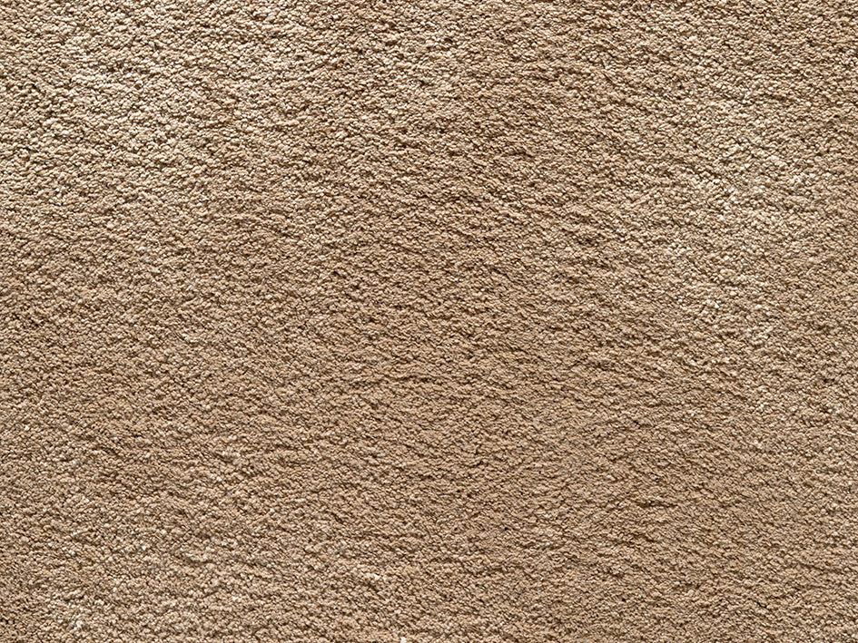 Wealthy Gathering Premium Carpet