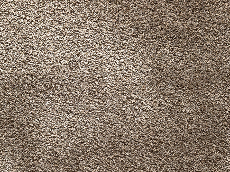 Wealthy Gathering Premium Carpet