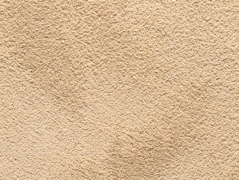Wealthy Gathering Premium Carpet