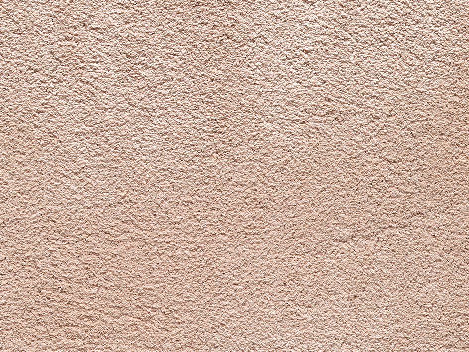 Wealthy Gathering Premium Carpet