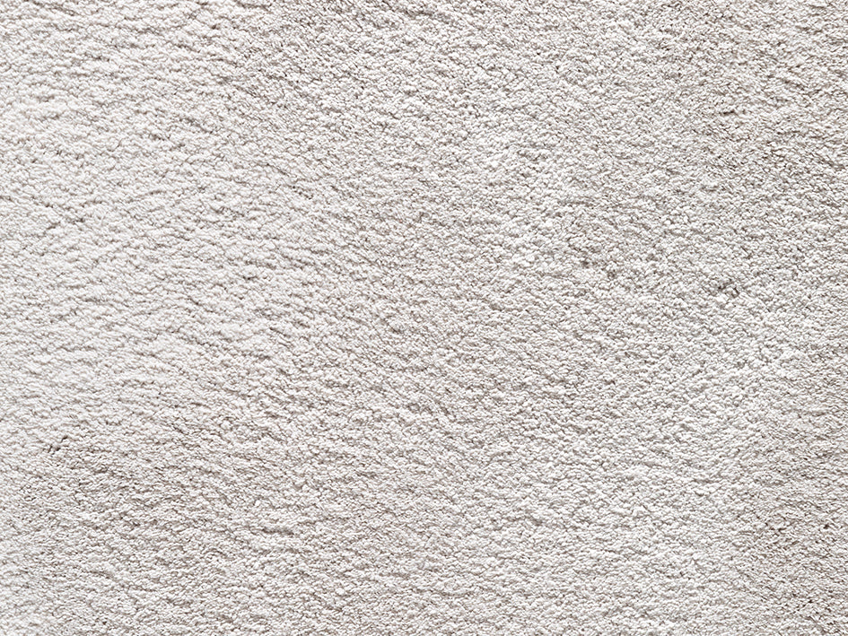 Wealthy Gathering Premium Carpet