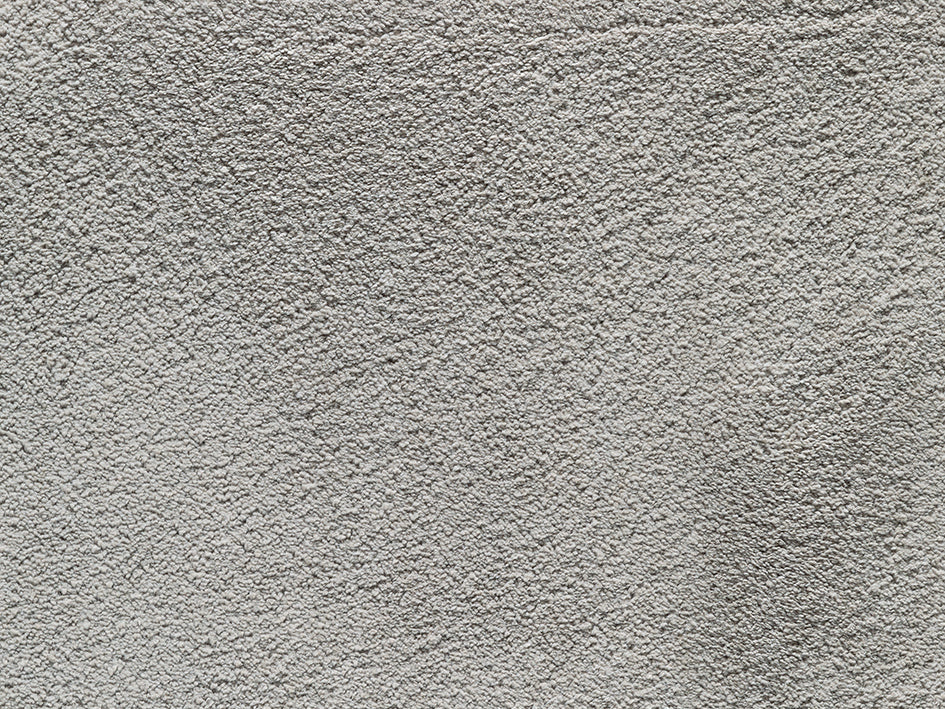 Wealthy Gathering Premium Carpet