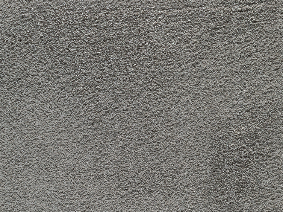 Wealthy Gathering Premium Carpet