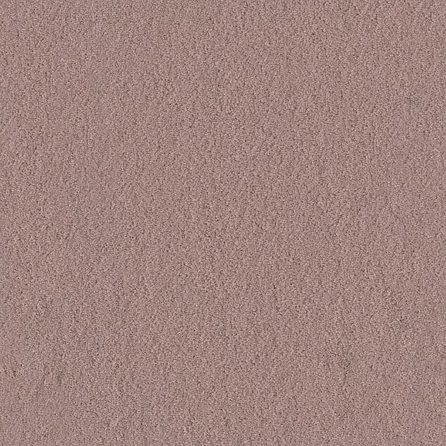 Premium Body Carpet