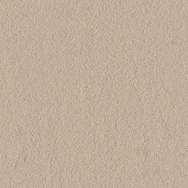 Premium Body Carpet
