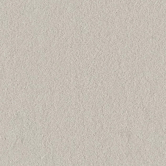 Premium Body Carpet