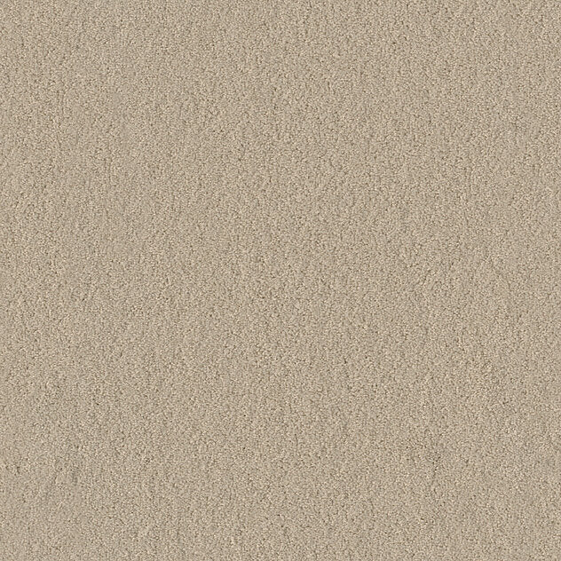Premium Body Carpet