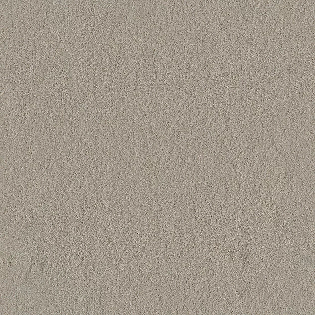 Premium Body Carpet