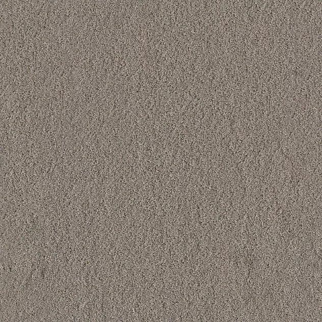 Premium Body Carpet