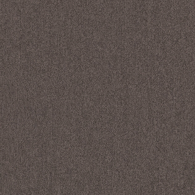 Premium Cashmere Carpet - Flair