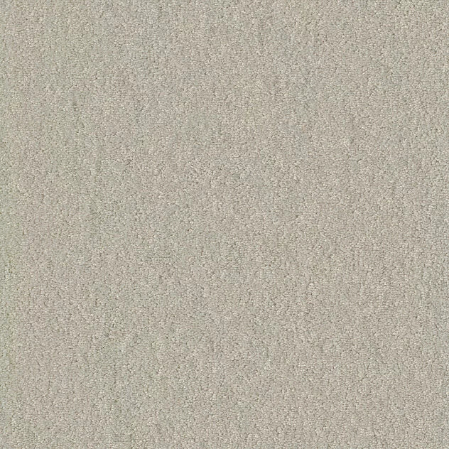 Premium Self-Adhesive Modular Carpet Chiffon Pearl MO 25x100 cm