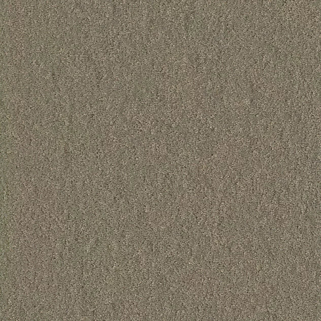Premium Self-Adhesive Modular Carpet Chiffon Pearl MO 25x100 cm