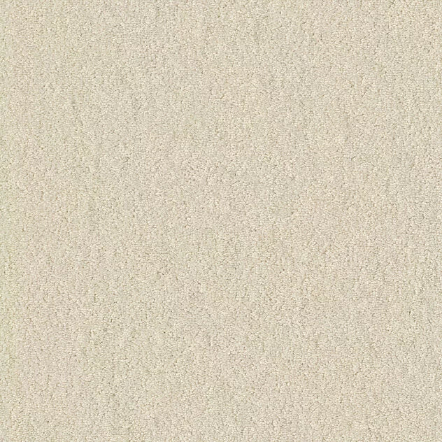 Premium Chiffon Pearl Carpet