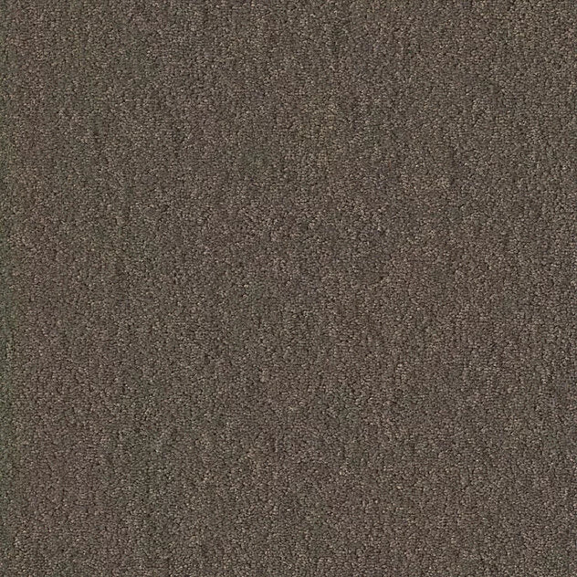 Premium Chiffon Pearl Carpet