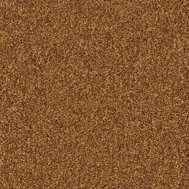 Premium Cloud Carpet