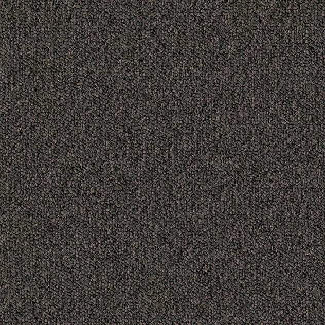 Premium Compact Trio Carpet