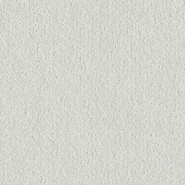 Premium Cotton Touch Carpet