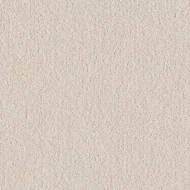 Premium Cotton Touch Carpet