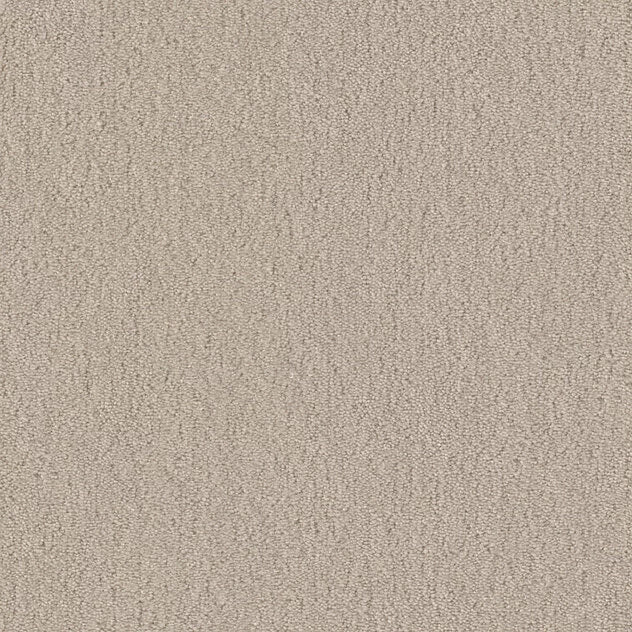 Premium Cotton Touch Carpet