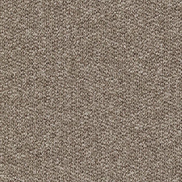 Premium Court Carpet