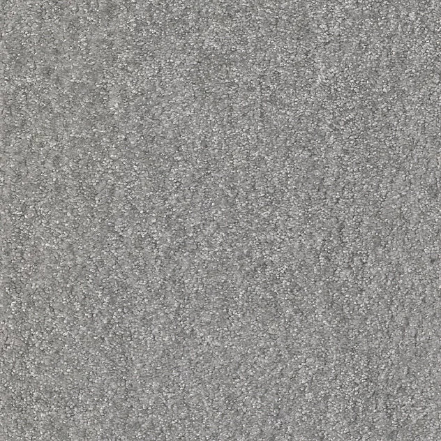 Premium Couture Shine Carpet