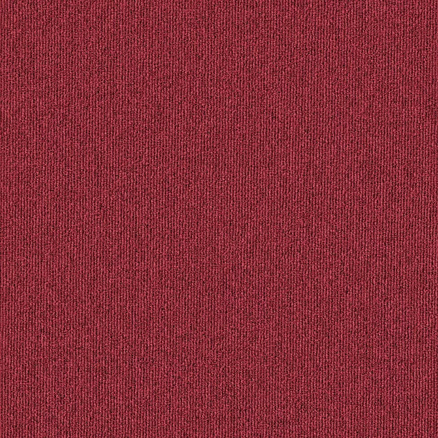 Premium Cricket Bolton Carpet