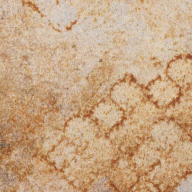 Coronado Premium Carpet