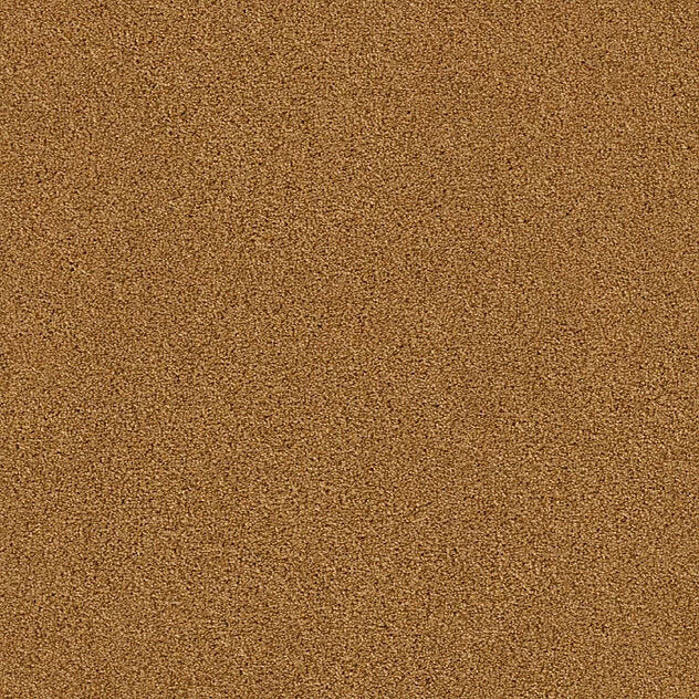 Premium Twin Carpet