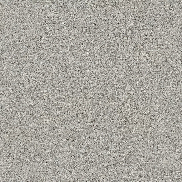 Premium Twin Carpet