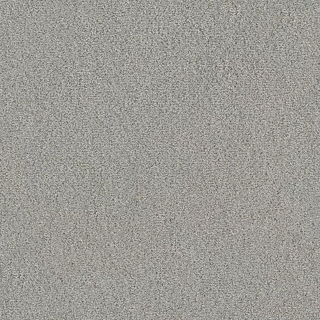 Premium Twin Carpet
