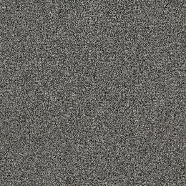 Premium Twin Carpet