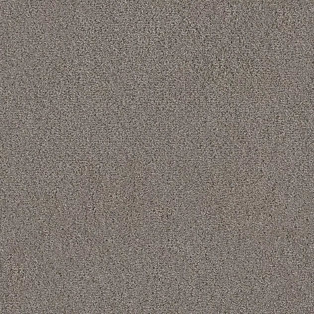 Premium Twin Carpet