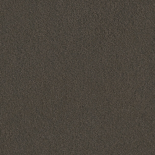 Premium Twin Carpet
