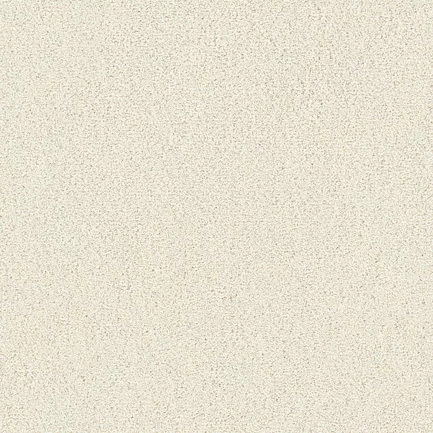 Premium Twin Carpet