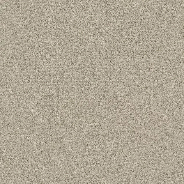 Premium Twin Carpet