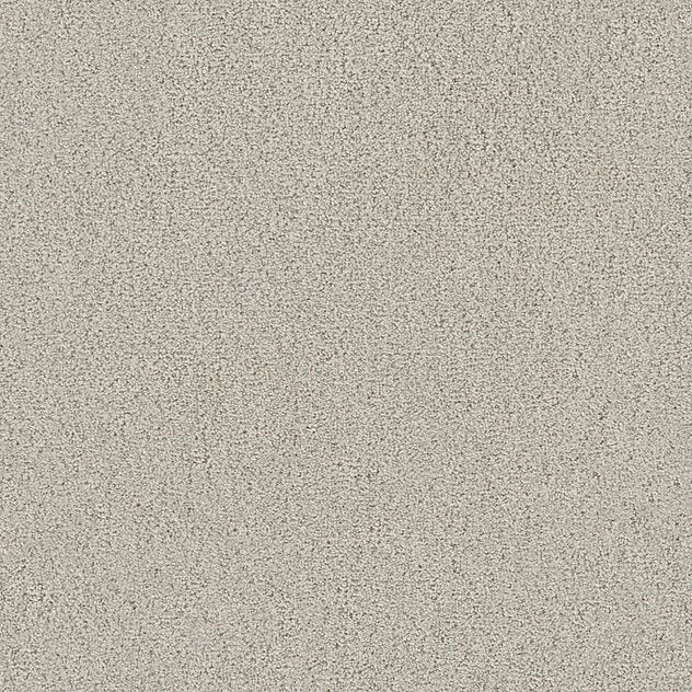 Premium Twin Carpet