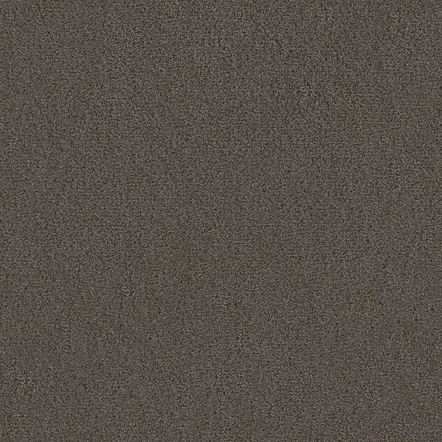 Premium Twin Carpet