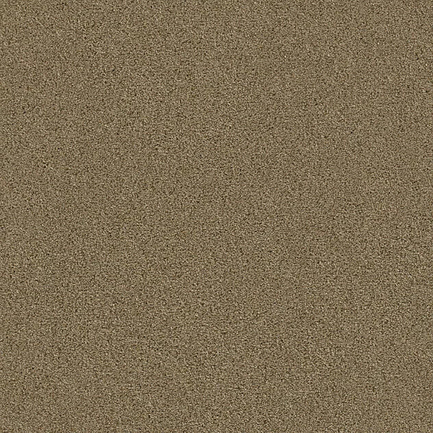 Premium Twin Carpet