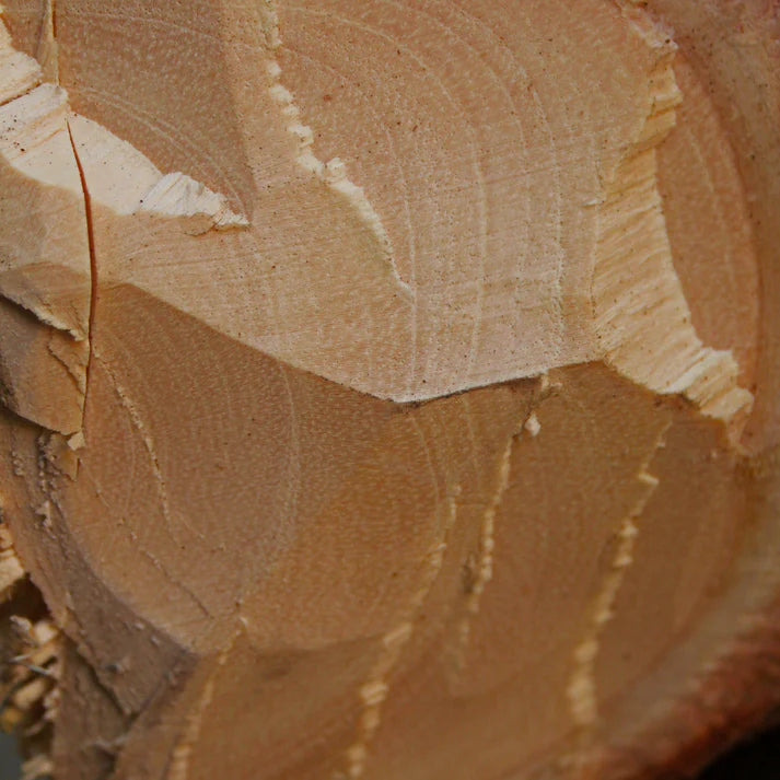 Sandelholz