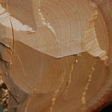 Sandelholz